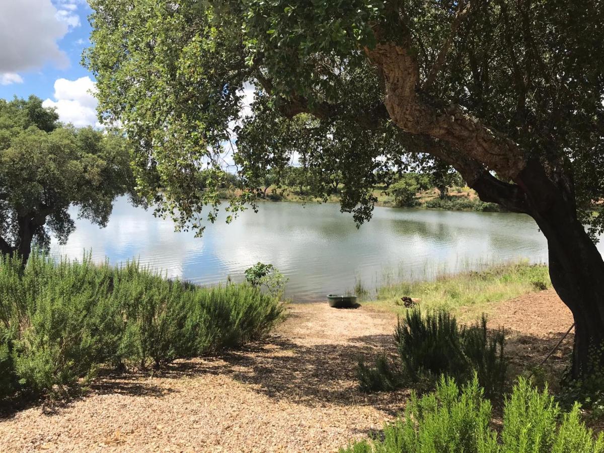 Fontes - A Essencia Do Alentejo Com Lago Privado Redondo Luaran gambar